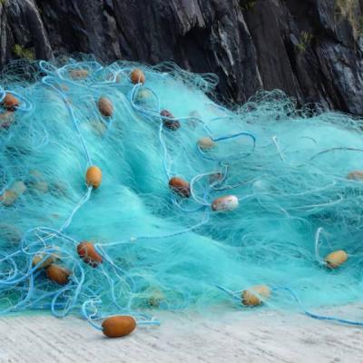 what is a fishing net called？