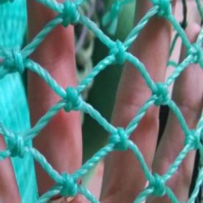 PE Knotted Netting