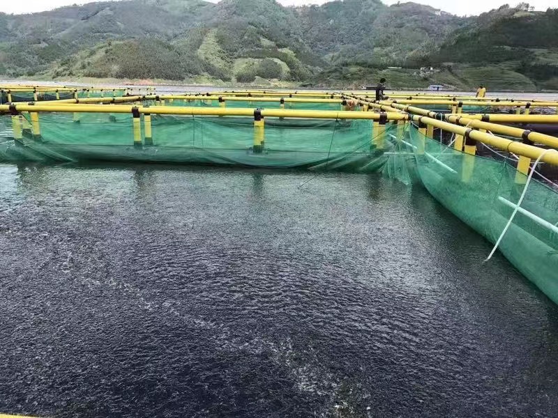 aquaculture cage.jpg