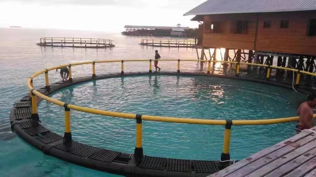 <a href=https://www.yangfanmesh.com/en/Aquaculture-Fishing-Farming-Net.html target='_blank'>fish farming cage</a>.jpg