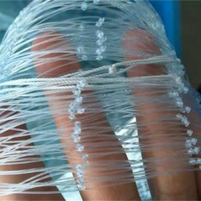 Nylon Monofilament Fishing Netting
