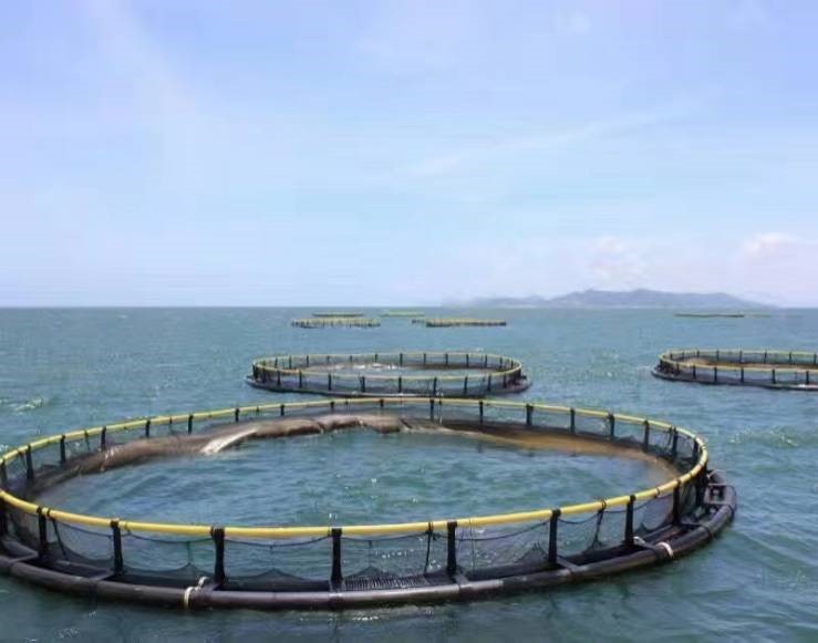 Fish Cage Aquaculture Farming