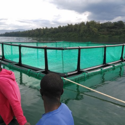 HDPE Square Net Sea Cage