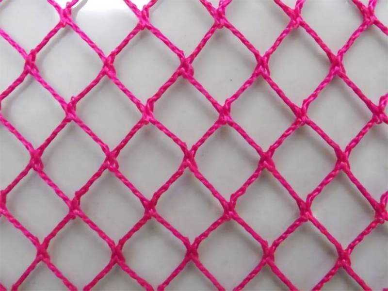 <a href=http://www.yangfanmesh.com/ target='_blank'><a href=https://www.yangfanmesh.com/en/China-Fishing-Netting-Factory.html target='_blank'><a href=https://www.yangfanmesh.com/en/fishing-netting-manufacturer.html target='_blank'><a href=https://www.yangfanmesh.com/en/fishing-netting-factory.html target='_blank'><a href=https://www.yangfanmesh.com/en/index.html target='_blank'><a href=https://www.yangfanmesh.com/en/fishing-netting-factory.html target='_blank'><a href=https://www.yangfanmesh.com/en/index.html target='_blank'><a href=https://www.yangfanmesh.com/en/fishing-netting-factory.html target='_blank'><a href=https://www.yangfanmesh.com/en/fishing-net-manufacturer.html target='_blank'><a href=https://www.yangfanmesh.com/en/index.html target='_blank'><a href=https://www.yangfanmesh.com/en/fishing-netting-factory.html target='_blank'>polyester knotless net</a></a></a></a></a></a></a></a></a></a></a>ting factory.jpg