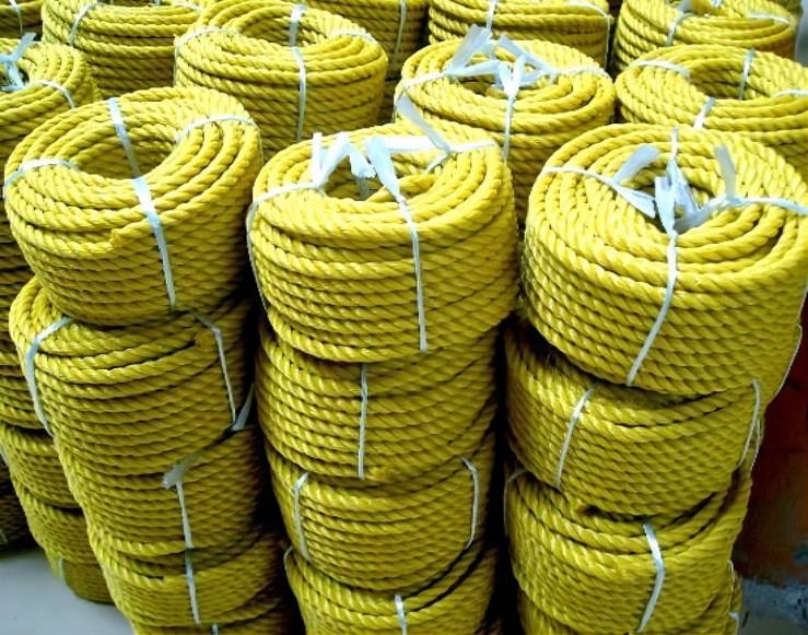 PE Rope.jpg