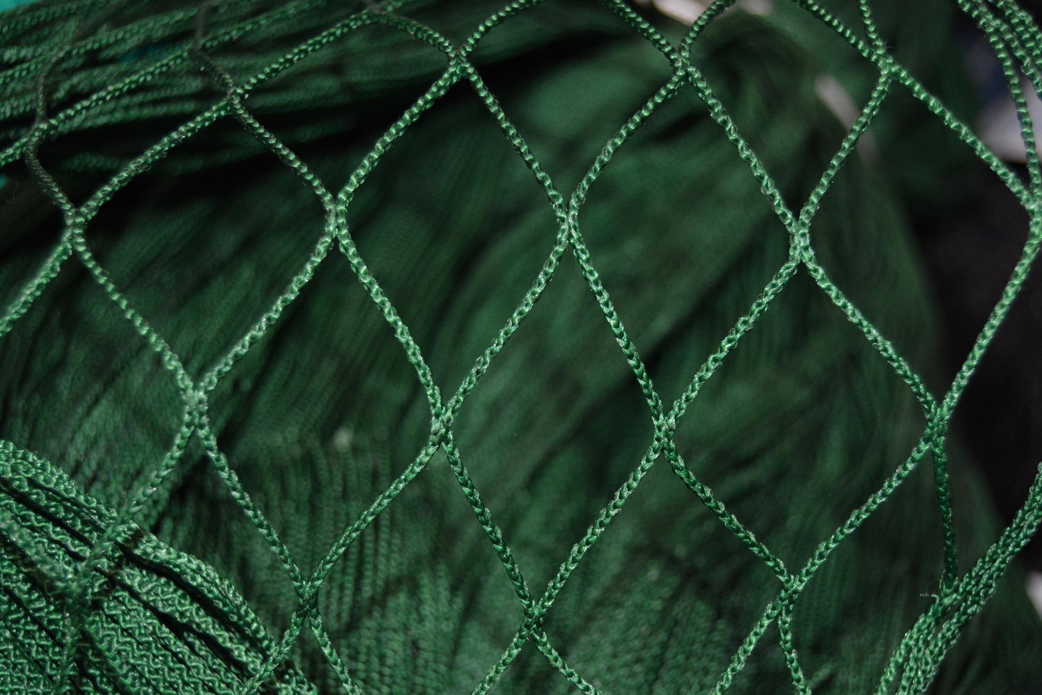 <a href=https://www.yangfanmesh.com/en/index.html target='_blank'><a href=https://www.yangfanmesh.com/en/China-fishing-netting-manufacturer.html target='_blank'>fishing net factory</a></a>.jpg