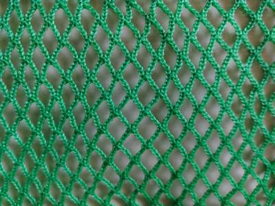 <a href=https://www.yangfanmesh.com/en/China-Fishing-Netting-Factory.html target='_blank'><a href=https://www.yangfanmesh.com/en/index.html target='_blank'><a href=https://www.yangfanmesh.com/en/index.html target='_blank'><a href=https://www.yangfanmesh.com/en/fishing-netting-factory_2.html target='_blank'><a href=https://www.yangfanmesh.com/en/index.html target='_blank'><a href=https://www.yangfanmesh.com/en/fishing-net-manufacturer.html target='_blank'><a href=https://www.yangfanmesh.com/en/fishing-net-manufacturer.html target='_blank'><a href=https://www.yangfanmesh.com/en/fishing-net-manufacturer.html target='_blank'>raschel knotless net</a></a></a></a></a></a></a>ting</a>.jpg