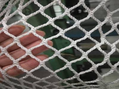 <a href=https://www.yangfanmesh.com/cn/fishing-netting-factory.html target='_blank'><a href=https://www.yangfanmesh.com/ target='_blank'>无结渔网</a></a>.jpg