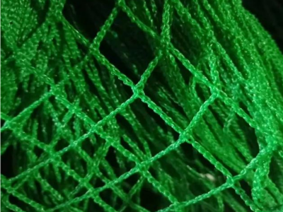 <a href=http://www.yangfanmesh.com/cn/China-Fishing-Netting-Factory.html target='_blank'><a href=https://www.yangfanmesh.com/cn/fishing-netting-factory.html target='_blank'>尼龙无结网</a></a>片.png