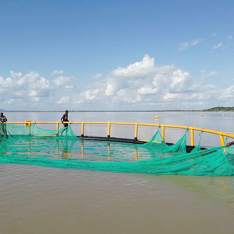 <a href=https://www.yangfanmesh.com/cn/China-fishing-netting-manufacturer.html target='_blank'>养殖网箱</a>.jpg