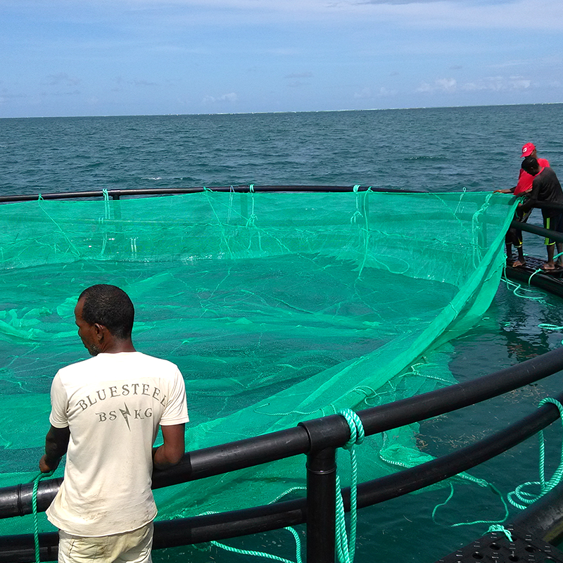 aquaculture cage.jpg