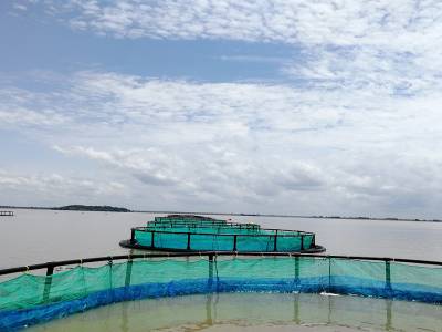aquaculture cage.jpg