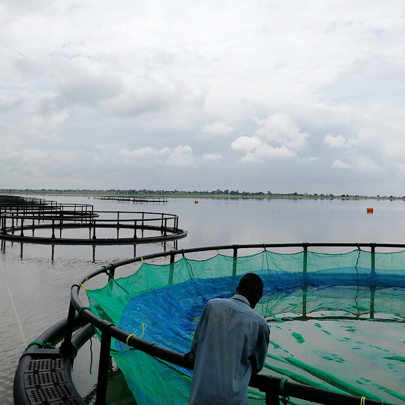 Norway aquaculture sea cage.jpg