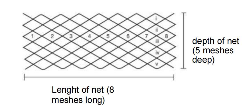 knotless fishing nets.jpg