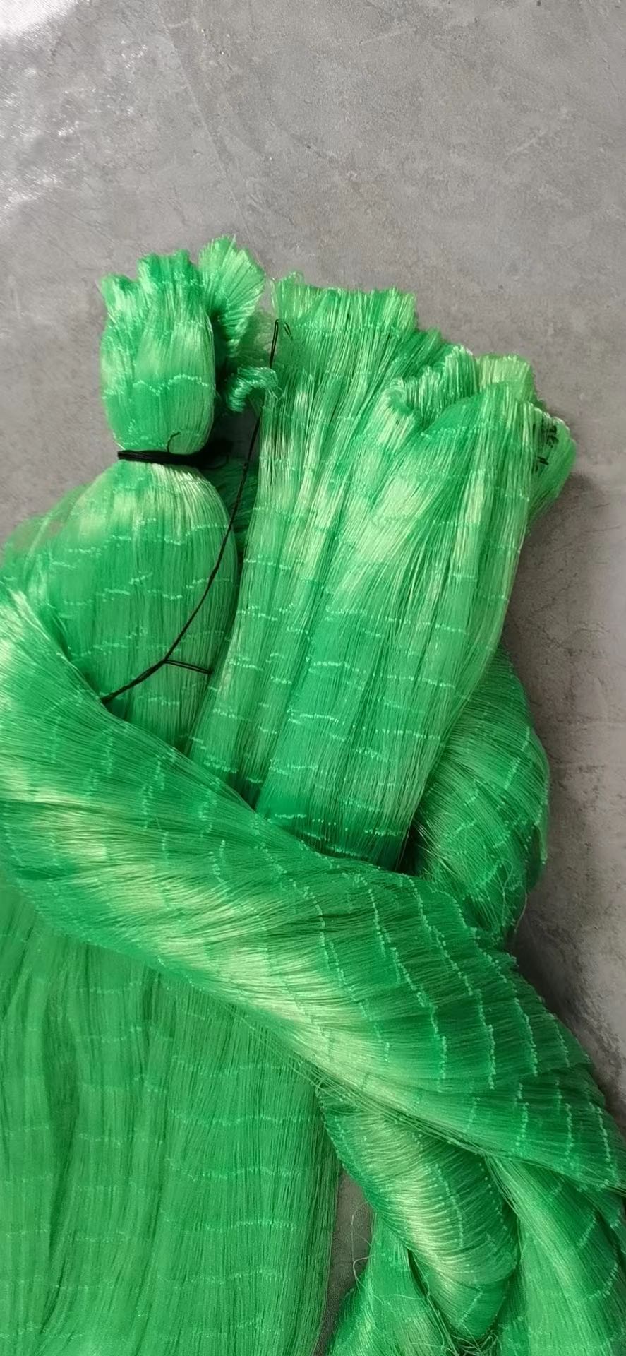 korea <a href=https://www.yangfanmesh.com/en/China-Fishing-Netting-Factory.html target='_blank'>Nylon Fishing Net</a>.jpg