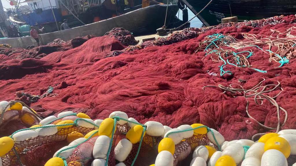 marron <a href=https://www.yangfanmesh.com/en/China-Fishing-Netting-Factory.html target='_blank'>Nylon Fishing Net</a> morocco supplier.jpg