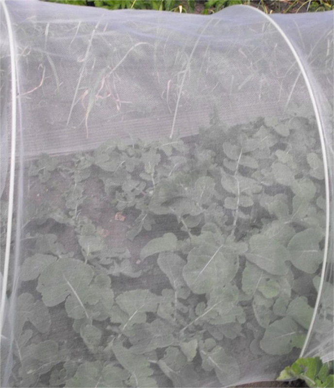 China greenhouse sun shade netting supplier.png